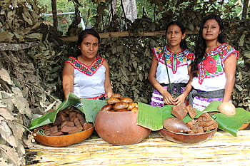 ženy, stojící, přední, stůl, indický, oaxaca, tradiční oblečení, domorodých, Mexiko, chatina, šátek