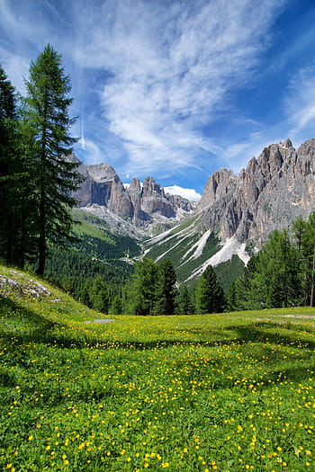 rock mountain, pine trees, blue, sky, mountain, alps, italy, flowers, landscape, trail, tranquility