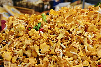 stack of mushrooms, real chanterelles, mushrooms, egg sponge, cantharellus cibarius, eierschwammerl, reherl, chanterelles, cantharellus, eat, edible