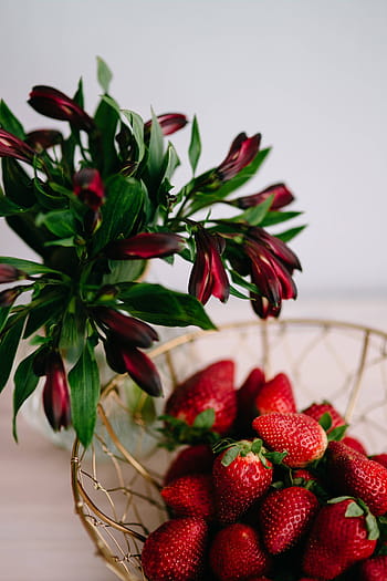 Fresas frescas, frutas, fresas, saludable, fresco, rojo, fruta, comida, frescura, fresa, madura