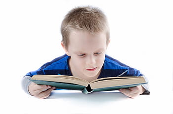 chlapec, modrý, šedá, s dlouhým rukávem, tričko čtení knihy, číst, rezervovat, dítě, student, myslet si, dospívající