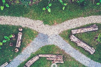 parkere, gress, tre, logger, natur, utendørs, blader, planter