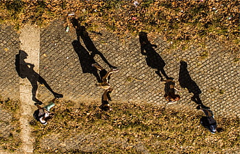 cobblestone, path, people, walking, pedestrians, shadows, sunshine
