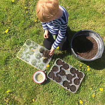 Seeds, Sowing, Child, køkkenhavn, children, garden, sprout, allotment, grass, childhood, full length