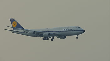 bianca, blu, aereo, aria, giorno, Hong Kong, viaggio, aeroporto, Asia, architettura, volo