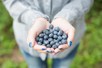 segenggam blueberry, Blueberry, berry, hutan, segar, buah-buahan, gadis, beberapa, tangan, sehat, alam