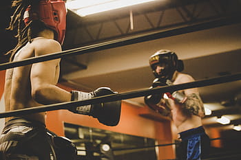 two, person, boxing fight, people, men, boxing, sport, game, fitness, exercise, fight