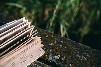 verão, descansando, livro, relaxante, tempo, livro de leitura, noite, hora mágica, livro aberto, Leitura, lago