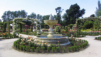 park, flowers, nature, spring, flower, garden, metropolitan park, source, urban nature, removal, madrid