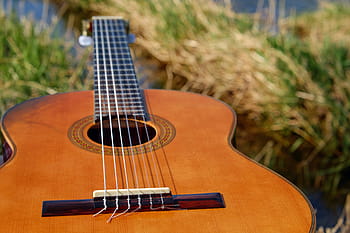 brown, dreadnought, classical, guitar, musical instrument, stringed instrument, wooden guitar, acoustic guitar, instrument, strings, 6 string