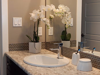 white, ceramic, sink, stainless, steel faucet, orchids, stainless steel, faucet, bathroom, mirror, counter