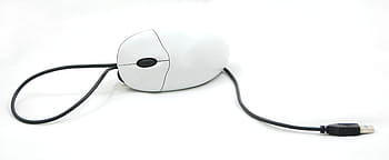 Černá, bílý, šňůry, myš, počítač, zařízení, počítačů, součástí, technologie, počítačová myš, kabel