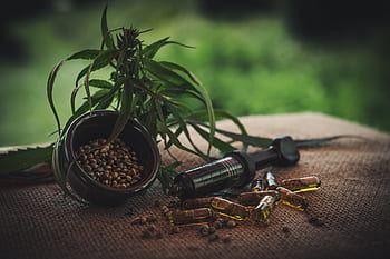 cbd, cbd kapseln, Cannabidiol, Hanfsamen, Cannabis