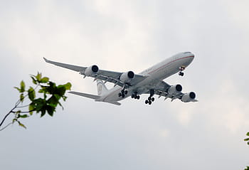 low-angle photography, white, plane, 4 turbines, giant, flying, commercial, aircraft, trip, fly, take-off