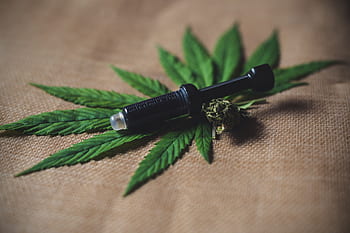 cbd, hanf, konopí, plevel, marihuana, superfood, kanabidiol, olej, zdraví, cbd öl, cbd olej