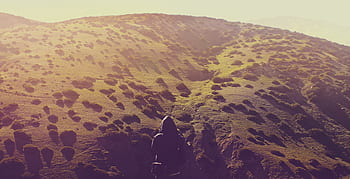 mountain, highland, trees, plant, nature, sunshine, sunlight, landscape