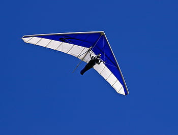 person, riding, blue, white, paraglider, clear, sky, in clear, glider, hang-glider, pilot