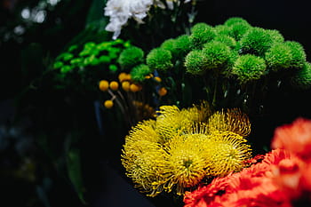 karangan bunga berwarna-warni, Koleksi, warna-warni, bunga, karangan bunga, mawar, flora, indah, cantik, alam, tanaman