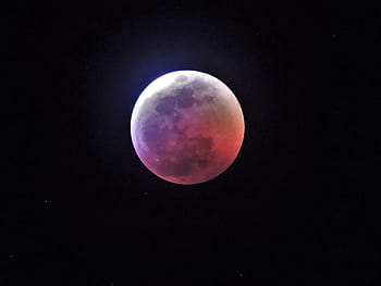 měsíční, zatmění, měsíc, krvavý měsíc, vlčí měsíc, zatmění luna, úplněk, astronomie, astrofotografie, prostor, Sluneční Soustava