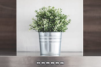 decoração da cozinha, decoração :, cozinha, decoração, verde, flor, metálico, vaso de flores, arquitetura, design, flores