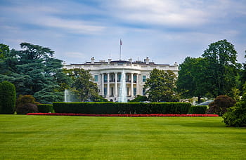 white house, usa, white, house, building, fountain, green, grass, trees, plant, nature, outdoor