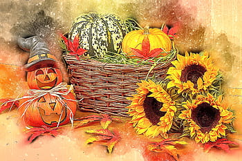 auringonkukan maalaus, syksy, musta, tumma, koriste, pudota, halloween, sato, loma-, puun lehti, yö-