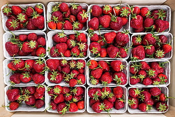 fresh, strawberries, farmers market, Fresh strawberries, filled frame, fruit, red, top view, freshness, food, strawberry