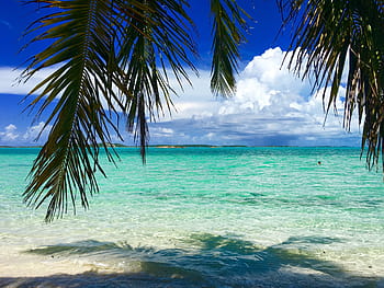 pláž, palma, bahamas, karibský, oceán, ostrov, písek, dovolená, cestovat, modrý, tyrkysový