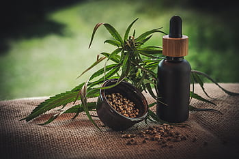 cbd, cbd kapseln, Cannabidiol, Hanfsamen, Cannabis