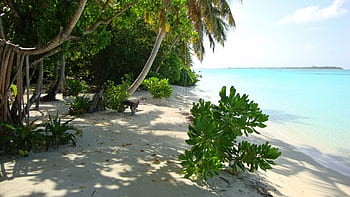 tropical, island, beach, vacation, exotic, holiday