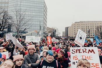 people gathering, protest, people, man, woman, rally, equality, trump, feminist, empowerment, unite