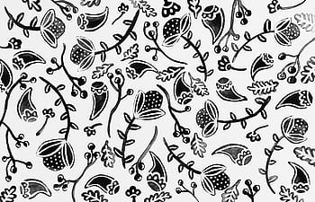 bianca, nero, floreale, tessile, paisley, fiori, le foglie, modello, frutti di bosco, disegnato a mano, vettore