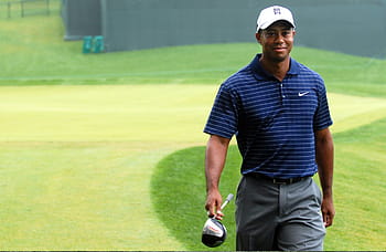 uomo, blu, maglietta, Tiger Woods, golf, giocatore, gli sport, stella, famoso, campione, professionale