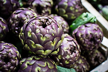 purple artichoke, Purple, artichoke, close up, healthy, London, food, vegetable, freshness, healthy Eating, organic