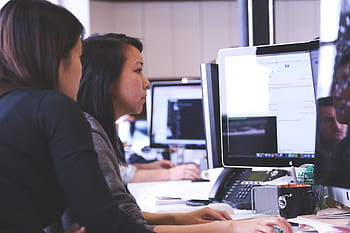 Due, donne, utilizzando, computer, giorno, avviare, attività commerciale, persone, studenti, ufficio, strategia