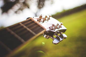 tutup, tala, pasak, Kepala, Gitar, Close Up, Pasak tala, dingin, musik, bermain, lagu