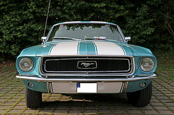 modrý, bílý, kupé ford mustang, zaparkováno, zelená, listový strom, auto, oldtimer, klasický, automobilového průmyslu, vozidel