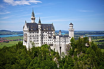 pták, pohled, bílý, Černá, hrad, obklopen, stromy, neuschwanstein, Německo, disney, mezník