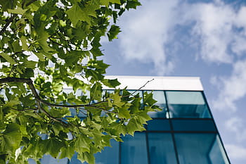Ventanas del edificio de oficinas, azul, cielo, Edificio de oficinas, ventanas, cielo azul, oficina, moderno, arquitectura, edificios, edificio de vidrio