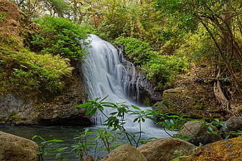 waterfall, costa rica, water, rainforest, tropical, jungle, wilderness, scenery, scenic, tropics, river
