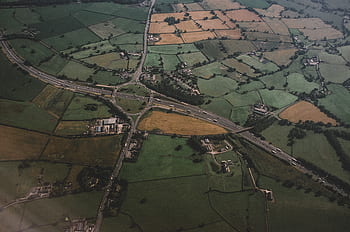 aerial, view, green, grass, trees, plant, field, nature, houses, farm, road