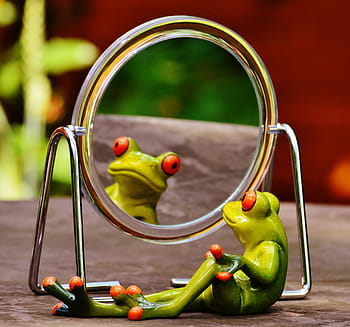 green, frog, looking, mirror, mirror image, mirroring, cute, funny, fun, figure, sweet