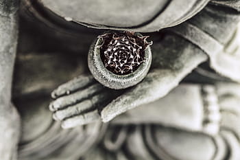 šedá sukulentní rostlina, Buddha, socha, buddhismus, náboženství, Asie, buddhista, sochařství, rozjímání, náboženský, duchovní