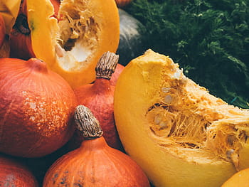 kurpitsan erä, vihreä, heiniä, kiinni, valokuvaus, pyöristää, viipaloitu, squash, kurpitsat, halloween, luonto