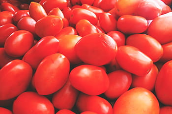 pomodori rossi freschi, pomodori, cibo bevanda, cibo, salutare, rosso, pomodoro, verdura, freschezza, biologico, maturo