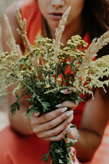 merah, gaun, bunga-bunga, di luar ruangan, Wanita, gaun merah, gadis, flora, indah, karangan bunga, cantik