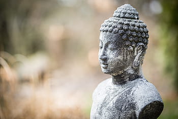 selektivní, zaměření fotografie, gautama socha Buddhy, Šedá, Buddha, soška, během dne, gautama, postava, socha, rozmazat
