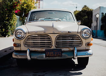 vintage, putih, mobil volvo, parkir, pohon, mobil, kendaraan, perjalanan, jalan, cerah, hari