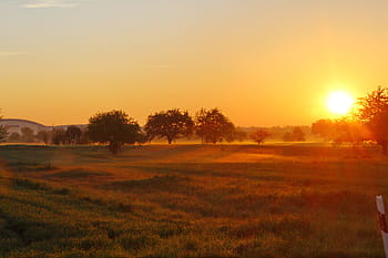 farmě při západu slunce, svítání, podzim, mlha, nálada, krajina, Příroda, ráno, zadní světlo, strom, podzimní nálada