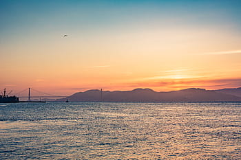 ゴールデン、 ゲートブリッジ、 美しい、 カラフル、 日没、 海、 ゴールデンゲートブリッジ、 湾、 鳥、 青、 橋